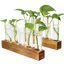 Plant Propagation Station with Wooden Stand, 10 Borosilicate Glass Test Tube Vases for Hydroponics and Indoor Plant Cuttings 1