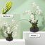 SupKing Invisible Plant Support Sticks - 16Pcs Fiberglass Orchid Stakes with Clips for Small Plants, Flowers and Seedlings (Green) 3