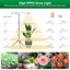 SANSI 30W Full Spectrum LED Grow Lights for Indoor Plants with Adjustable Tripod Stand and Auto Timer 2