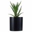 FaithLand Fiberstone Planter Cylinder Plant Pot with Drainage Hole & Plug, Indoor Outdoor Use, Matte Black 8" 1