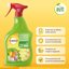SOLABIOL Olio Bianco di Soia Biologico 1L - Insetticida Naturale Pronto Uso per Difesa Piante da Afidi e Cocciniglia 3