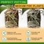 Legigo 4 Quarts Organic Orchid Potting Bark - All Natural Pine Bark Wood Chips for Houseplant Mulch and Root Development 4