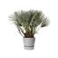 Elho Greenville Round 40 Vaso con serbatoio idrico integrato per Interno/esterno, Plastica Riciclata Ø 39.0 x H 36.8 cm - Grigio/Living Concrete 8