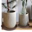 Bleuhome 3 Pack Large Plant Saucers - 22 Inch Heavy Duty Plastic Drip Trays for Flower Pots and Bird Baths 4