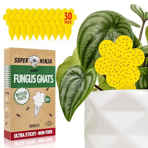 Super Ninja Fungus Gnat Traps - 30 Pack