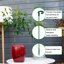 SupKing Invisible Plant Support Sticks - 16Pcs Fiberglass Orchid Stakes with Clips for Small Plants, Flowers and Seedlings (Green) 4
