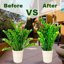 HiGift 12 Pack Metal Plant Support Stakes - Half Round Peony Cages for Indoor & Outdoor Garden Plants 4