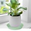 Bleuhome 2 Pack Plant Saucer and Bird Bath Bowls - 12 Inch Heavy Duty Plastic Drip Trays for Indoor & Outdoor Flower Pots 4