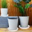 Bleuhome 4 Pack 19 Inch Plant Saucer - Heavy Duty Deep Plastic Drip Trays for Flower Pots and Bird Bath Bowls 5