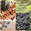 Legigo 19 LBS Organic Leca Clay Pebbles, 4mm-16mm Natural Hydroton Balls for Hydroponics, Aquaponics, Orchids and Indoor Plants 5