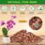 Legigo 4 Quarts Organic Orchid Potting Bark - All Natural Pine Bark Wood Chips for Houseplant Mulch and Root Development 2