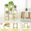 iDavosic.ly 6-Tier Corner Plant Stand, Metal Indoor Outdoor Flower Display Holder, Folding Tall Wrought Iron Orchid Rack for Patio Balcony Porch Garden and Living Room - Gold 4