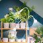 SANSI LED Grow Lights for Indoor Plants - Full Spectrum Clip-on Gooseneck with Ceramic Technology, 30W High PPFD Plant Light 6