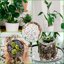 Legigo 4 Quarts Organic Horticultural Perlite - Natural Soil Additive for Drainage, Aeration and Root Growth 7
