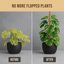 Craft911 64 Inch Bendable Moss Pole for Monstera and Climbing Plants - Coco Coir Plant Support Stake 7