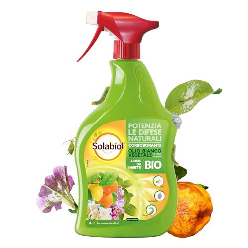 SOLABIOL Olio Bianco di Soia Biologico 1L