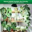 SANSI 15W LED Lampadina per Piante E27 Spettro Completo - Equivalente 200W per Giardinaggio Indoor e Piante Grasse 5