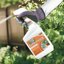Bonide Captain Jack's Copper Fungicide 32 oz Ready-to-Use Spray - Organic Liquid Fungicide for Garden Plants, Fruits, Vegetables & Ornamentals - Controls Blight, Black Spot & Powdery Mildew 6