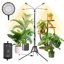 SANSI 40W Full Spectrum LED Grow Lights for Indoor Plants, 4 Head Dimmable Tripod Stand Plant Light with Auto Timer and Adjustable Height 35"-65" 1