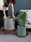 Bleuhome 6 Pack 8 Inch Plant Saucer - Heavy Duty Plastic Round Drip Trays for Indoor and Outdoor Flower Pots 6