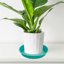 Bleuhome 6 Pack 8 Inch Plant Saucer Blue - Heavy Duty Plastic Round Drip Trays for Indoor & Outdoor Flower Pots and Bird Bath Bowls 5