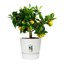 Elho Greenville Round 47 Vaso con serbatoio idrico integrato per Interno/esterno, Plastica Riciclata Ø 47.0 x H 44.0 cm - Bianco/White 9