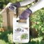 Bonide Captain Jack's Neem Oil 128 oz Ready-to-Use Organic Insecticide Fungicide & Miticide Spray 2