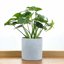 FaithLand Fiberstone Planter Cylinder Plant Pot with Drainage Hole & Plug, Authentic Concrete Look, Gray 10" 8