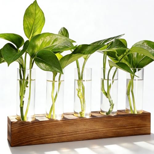 Plant Propagation Station with Wooden Stand - 5 Borosilicate Glass Test Tube Vases for Hydroponics and Indoor Plants