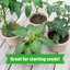Back to the Roots Organic Coconut Coir, 51 Quart Expanding Potting Soil 4