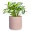 FaithLand Fiberstone Planter Cylinder Plant Pot with Drainage Hole & Plug, Indoor Outdoor Use, Terracotta Color 10" 4