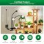 SANSI LED Grow Lights for Indoor Plants, 30W Full Spectrum Gooseneck Clamp Lamp, 450W Equivalent High PPFD Plant Light with 3 Replaceable Heads 6