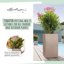 Lechuza TERRAPON Substrato per Piante 12 Litri - Mix Minerale con Humus 7