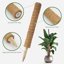 Kit 5 Aste di Cocco Flessibili per Monstera e Piante Rampicanti - Supporto in Fibra di Cocco con Corda di Iuta, Fascette e Targhette 3