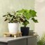 Lechuza Classico Color 21 Slate Self-Watering Small Round Planter 8.3" 8