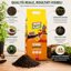 Vigorplant Terriccio per Semina 25L - Substrato Superfine con Torba Irlandese e Baltica - Ideale per Germogliazione Ortaggi e Fiori - Drenante e Concimato Organicamente 8