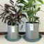 Bleuhome 6 Pack Bird Bath Bowls 8 Inch - Heavy Duty Plastic Round Plant Saucer Trays for Garden and Outdoor Use 5