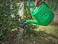Ecoplast Annaffiatoio da Giardino 6 Litri in Plastica Riciclata - Verde 4