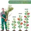 SupKing 16Pcs Adjustable Plant Stakes - Fiberglass Support Poles with Clips and Ties for Indoor & Outdoor Garden 5