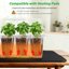 Bonviee 5-Pack Seed Starter Trays with Adjustable Humidity Domes and Plant Labels - Indoor Seedling Germination Kit for Root Observation 7