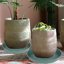 Bleuhome 2 Pack of 17 Inch Plant Saucers - Heavy Duty Plastic Flower Pot Drip Trays and Bird Bath Bowls, Deep Drainage Trays for Indoor & Outdoor Planters, Green 4