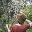Fiskars Bypass Loppers for Tree Trimming - Heavy Duty Steel Blade Branch Cutter with Extendable Handle (24.5"-37") and Softgrip Ergonomic Design 2