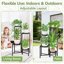 iDavosic.ly Multi-Tier Corner Plant Stand, Metal Indoor Outdoor Flower Display Shelf, Folding Tall Wrought Iron Orchid Rack for Patio Balcony Porch Garden and Living Room 6