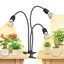 SANSI LED Grow Lights for Indoor Plants, 30W Full Spectrum Gooseneck Clamp Lamp, 450W Equivalent High PPFD Plant Light with 3 Replaceable Heads 1