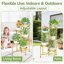 iDavosic.ly 5-Tier Corner Plant Stand, Metal Indoor Outdoor Flower Display Shelf, Folding Tall Orchid Rack for Patio Balcony and Garden, Gold 6