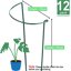 HiGift 12 Pack Metal Plant Support Stakes - 24 Inch Tall Half Round Peony Cages for Indoor & Outdoor Garden Plants 2