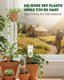 PlanKKers Terracotta Self Watering Spikes - Set of 6 Vacation Plant Watering Devices 7