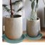 Bleuhome 4 Pack Heavy Duty Deep Plant Saucers - 17 Inch Round Plastic Drip Trays for Flower Pots and Bird Bath Bowls 5