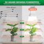 SANSI Lampada per Piante a LED Spettro Completo 40W con Timer 4/8/12 Ore e 4 Teste a Collo di Cigno Regolabili, Equivalente a 600W, Attacco E27 per Crescita e Germinazione 3