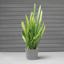 Root & Vessel Majestic Low Profile Cylinder Pot, Matte Gray, 8.5" 4